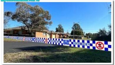 Stabbing in Dubbo: Latest Updates and Everything You Need to Know