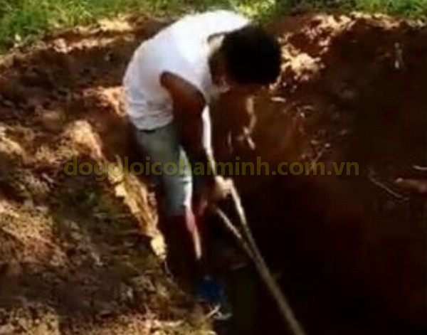 Detalhes do vídeo de uma pessoa chamada “Maloqueiro” tendo que cavar um buraco para se enterrar